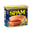 Picture of Spam Canned Meat