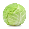 Picture of Cabbage